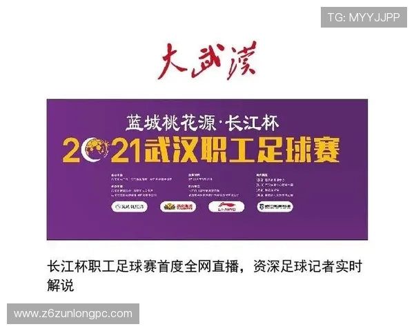 探秘开云体育国际平台提供的专业体育直播与高清赛事回放服务体验