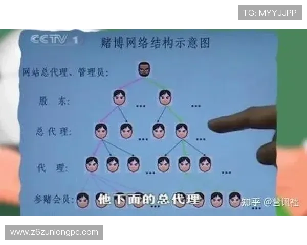 世界杯期间新西兰对比利时比赛网络赌球风险防控指南与安全建议
